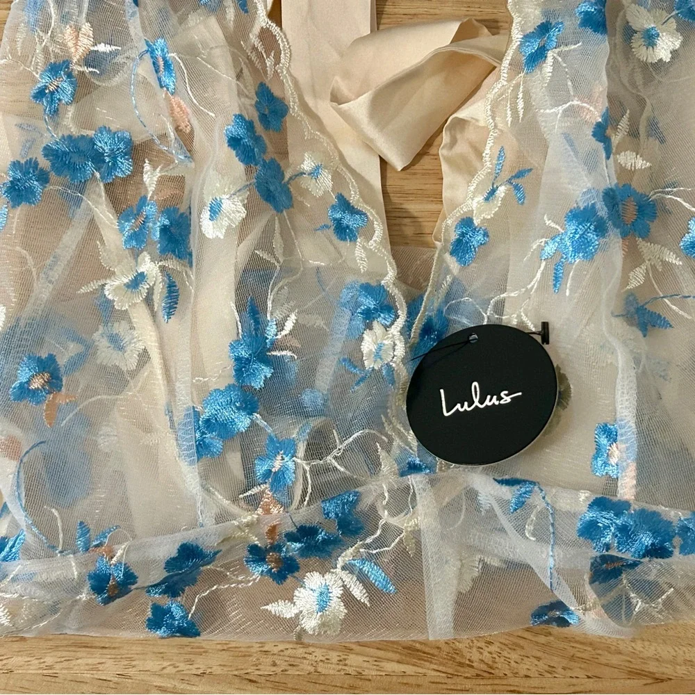 Lulu's Sheer Chemise with Blue Floral Embroidery - Picture 5 of 5